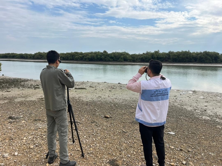 بازدید از زیستگاه های پرندگان مهاجر شهرستان خمیر جهت پایش آنفلوانزای فوق حاد پرندگان